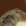 metro_191_0407