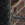 mont_011_1215