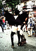 Chauve Exhibition